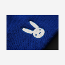 Load image into Gallery viewer, Bunny YHLQMDLG Beanie
